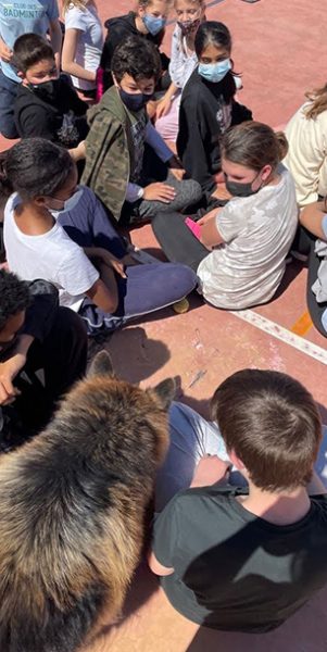 Campamentos de Verano Naturalia