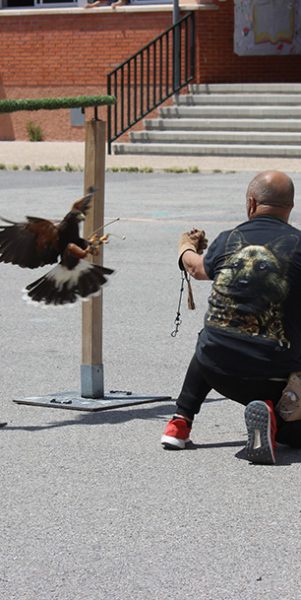 Campamentos de Verano Naturalia