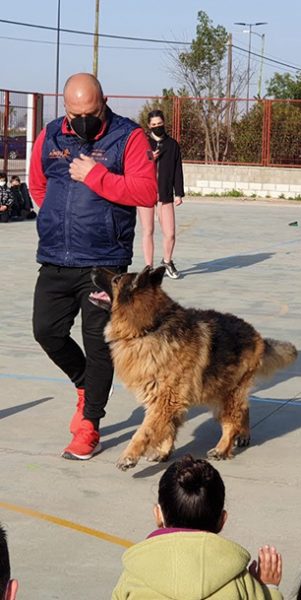 Campamentos de Verano Naturalia